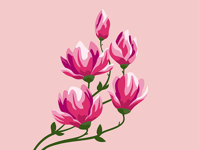 Magnolia