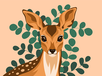 Fawn animal animal character animal illustration artwork fawn graphic illustration nature vector vector illustration