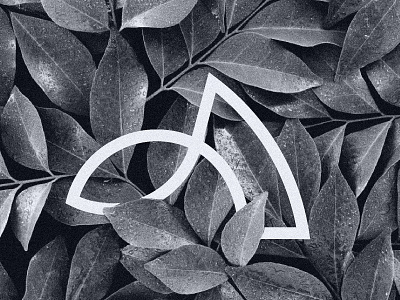 A+Leaf Logo