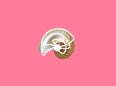 De volta pro agora branding design fibonacci flat gold icon illustration logo minimal shell vector