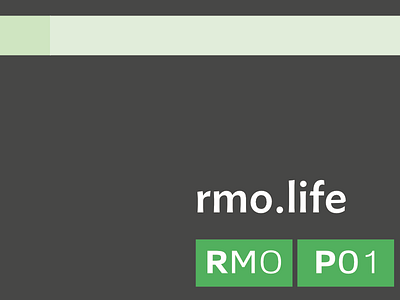 More RMO Details kickstarter rmo