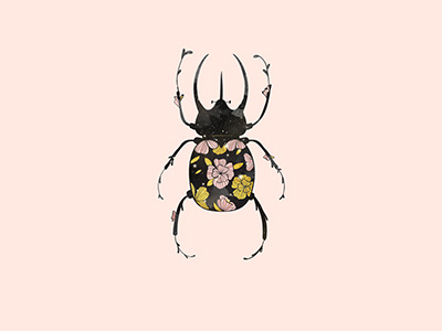 Escarabajo digital art flowers illustration ilustracion vector art