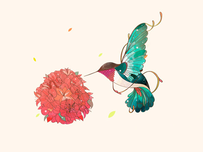 Colibrí