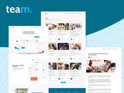 Team App Website UI