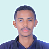 Temesgen Mulugeta 