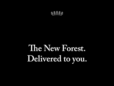 New Forest Stores brand brand identity brand identity design branding logo minimal