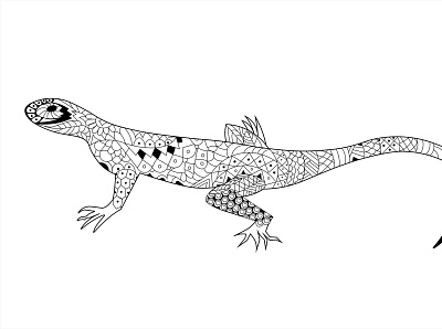 Agama animal colorbook creative design illustration lineart lizard