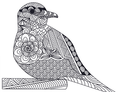Roody the birdy. bird colorbook colourbook illustration line lineart vector