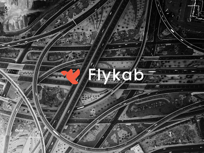 Flykab / Logo & Branding branding design icon logo minimal typography ui ux web website