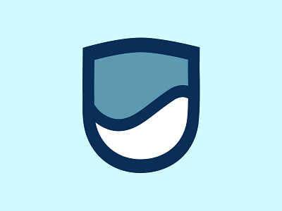 Shield Icon icon s shield