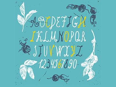Alphabet with briar alphabet blue briar dogrose illustrations vector yellow