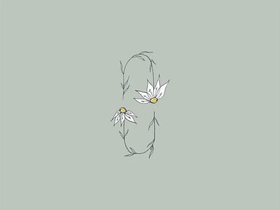 Have a nice daisy! botanical botanical illustration daisy design floral flower flower illustration flowers icon illustration illustrator minimal vector