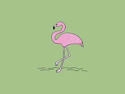 Summer Flamingo design flamingo icon illustration illustrator minimal summer vector