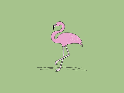 Summer Flamingo