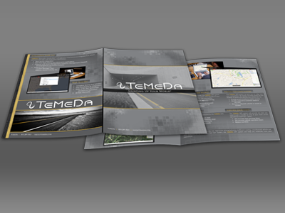 TeMeDa Brochure brochure graphic design print