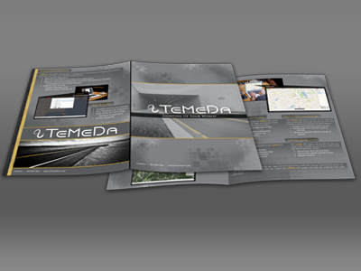 TeMeDa Brochure