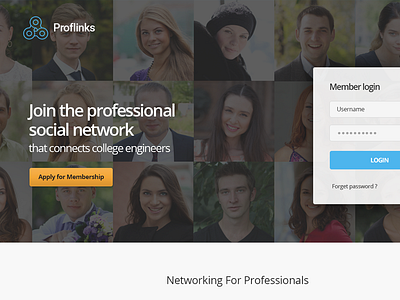 Landing page for a professional social network 