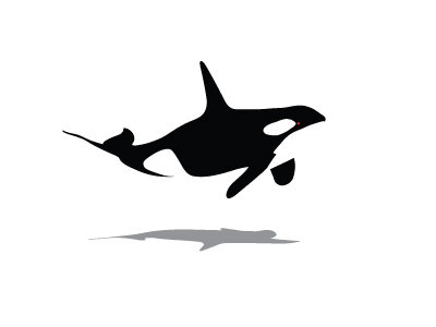 Orca fish illustration