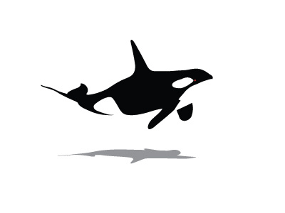 Orca