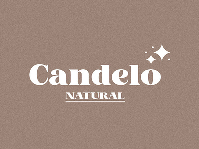 Candle Small Business Logo brand brand identity branding design graphic design illustration logo typography ui vector