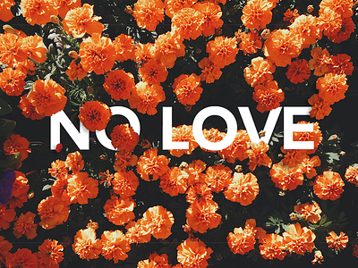 No Love art design flowers love poster print roses ui