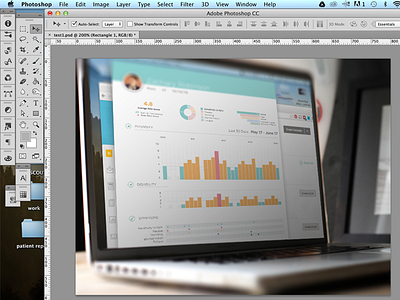 Patient Report WIP bar graph chart photoshop process report wip