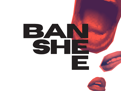 BANSHEE Logo branding design graphic design