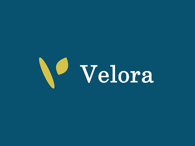 Velora | Logo & Branding