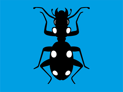 Beetle - Anthia Sexmaculata beetle branding bugs closeup drawing graphic design icon illustrator insects nature sign vector