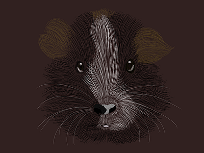 An illustration of my guinea pig Sonny animal drawing guinea pig