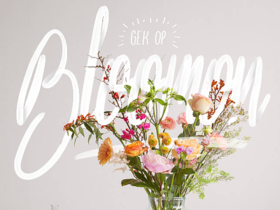 Bloomon promotion handlettered illustration bloomon flowers handlettering lettering shadow
