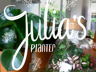 Julia planten promotion lettering flowers green handlettering plants