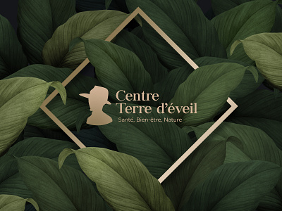 Terre d'éveil branding creative logo design graphic design illustration logo logo design minimal ui vector