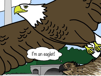 Bald Eagle & Eaglet