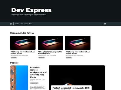 Dev Express - Developer Blog (Upper Half)