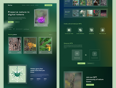 Nartsy NFT Marketplace blockchain design illustration nft ui ux web web3