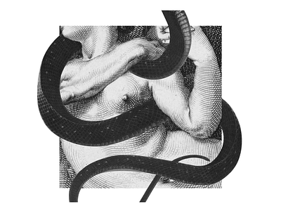 02 anatomy collage digital art snake