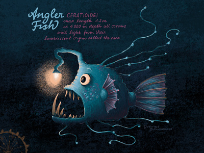 Deep ocean fish – angler fish anglerfish animal illustration character design digital illustration digitalart editorial art editorial illustration graphic design illustration procreate art
