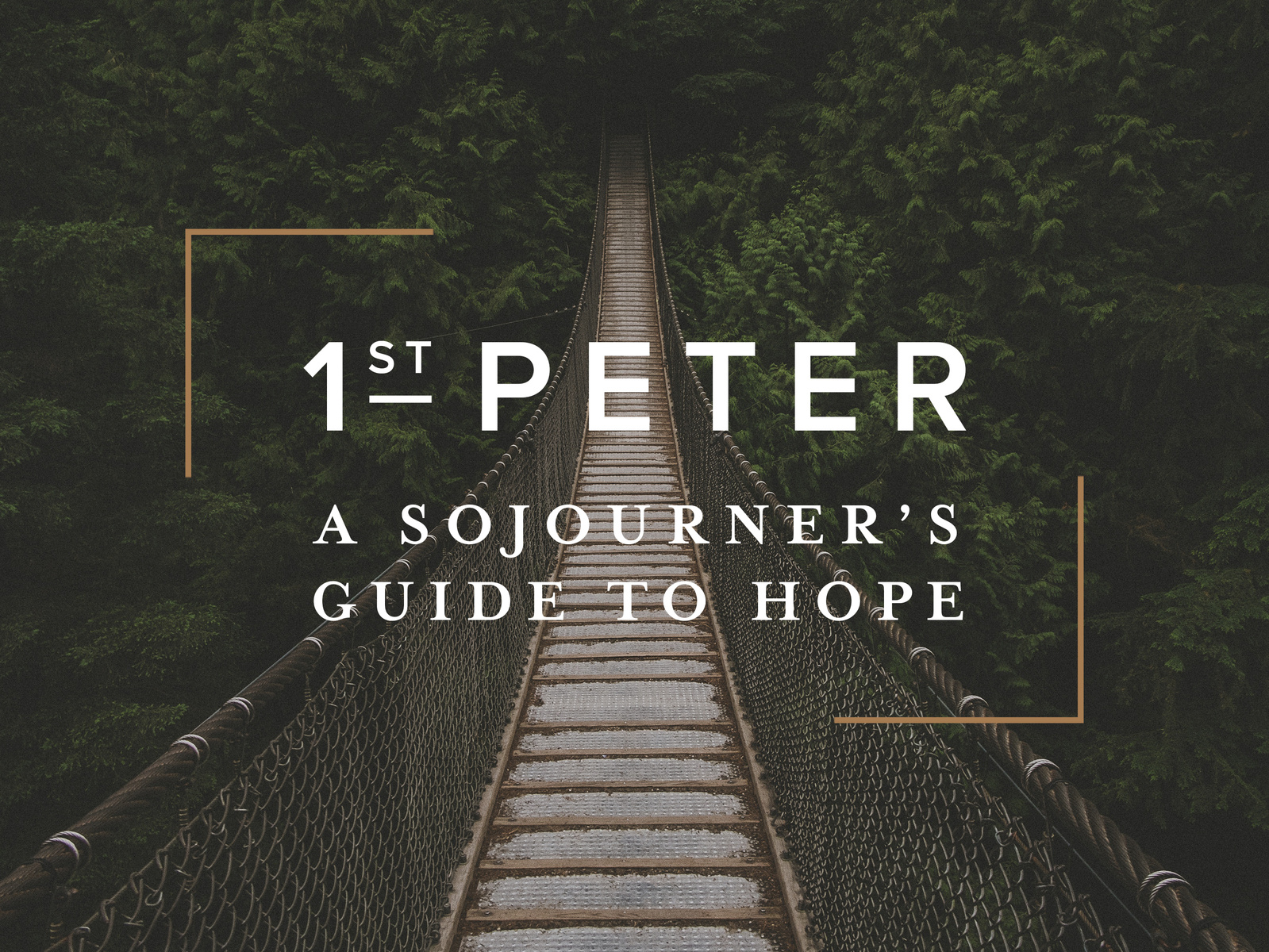 1st Peter Sermon Series By Jason Muir On Dribbble 1st Peter Sermon Series By Jason Muir On Dribbble