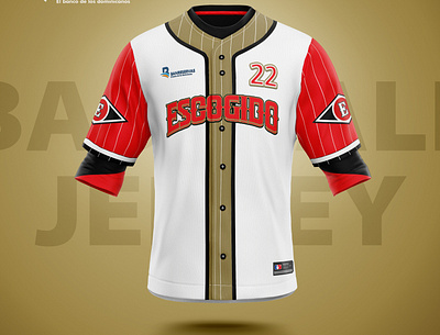 Baseball Jersey Front View Leones del Escogido