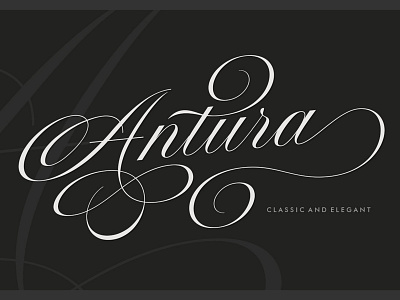 Antura Script branding calligraphy classy elegant font modern script font typeface typogaphy