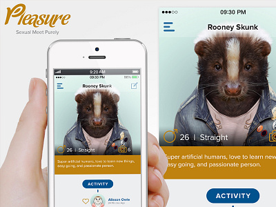 Pleasure iPhone App (concept)