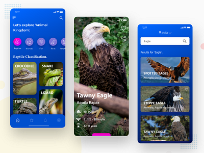 Animal Information App UI/UX Design. animals app app ui concept design flat india information minimal mobile ui ui ui ux uidesign uiux ux uxdesign xd