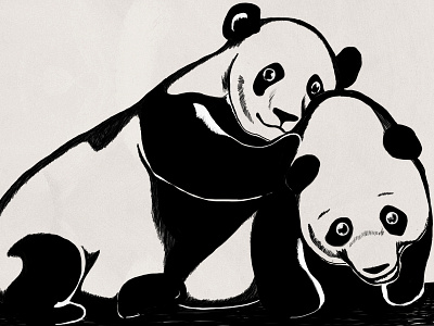 Panda love illustration love panda sketch