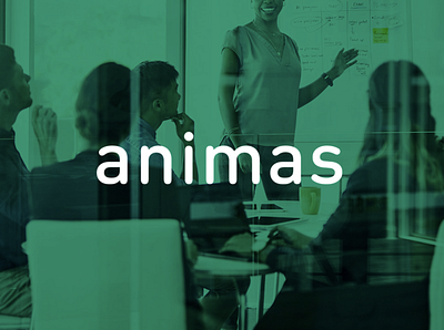 Animas | Brand Refresh art direction branding logo design