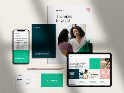 Animas | Brand Identity System art direction brand identity system branding digital design graphic design