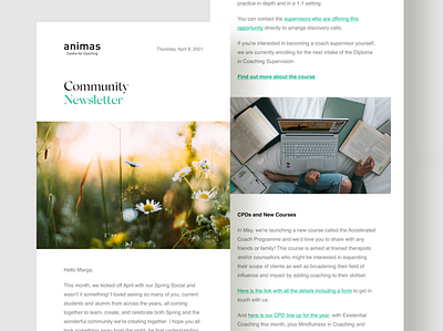 Animas Newsletter Template | UI Design art direction digital design newsletter ui design