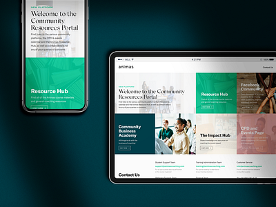 Animas Community Platform | Product Design art direction branding graphic design ui design ux design