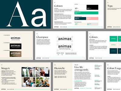 Animas Brand Guidelines art direction brand identity system branding digital design graphic design