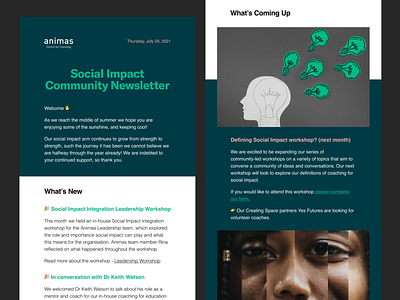 Social Impact | Newsletter UI Design art direction digital design ui design ux design
